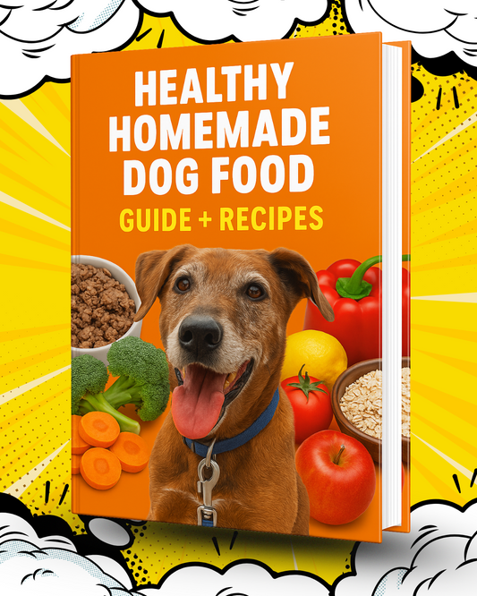 Healthy Homemade Dog Food Guide + Recipes